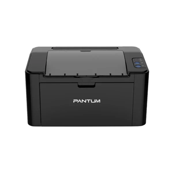 Pantum P2516